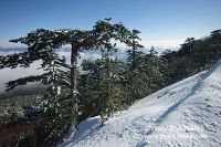 DSC01462