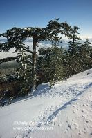 DSC01463