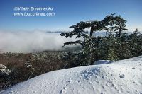 DSC01465