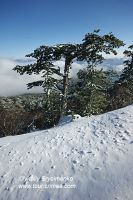 DSC01470
