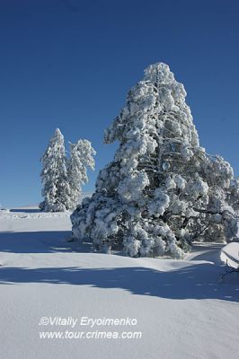 DSC01507