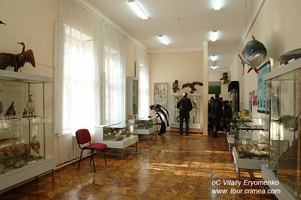 DSC05393