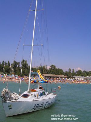 P7278493