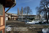 DSC03501V