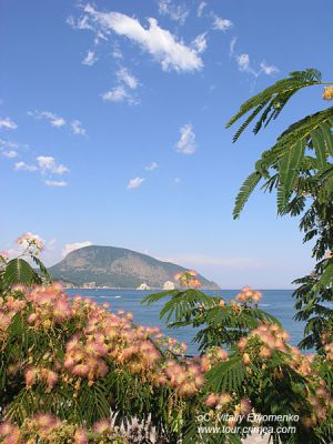 P1013202