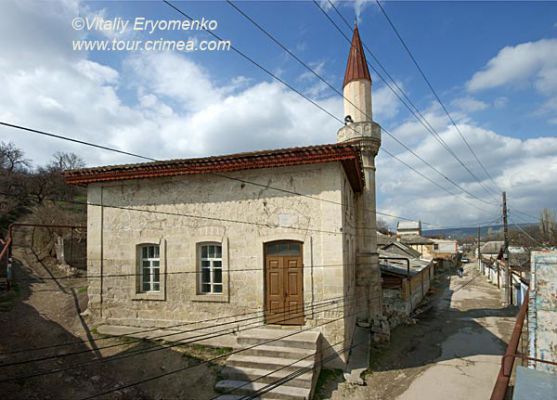 DSC06552V