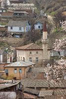DSC06658