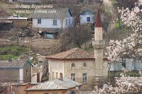 DSC06660