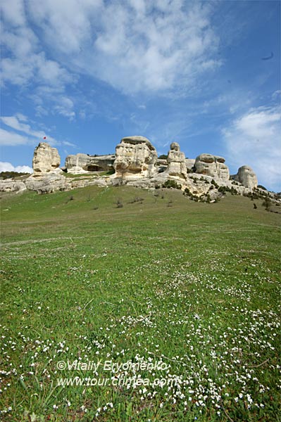 DSC06771