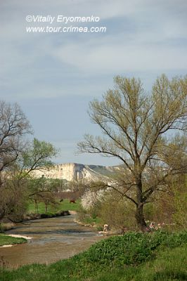 DSC09987