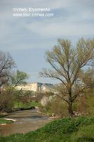 DSC09987