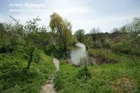 DSC09919