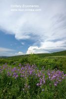 DSC00316