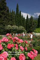 DSC04649