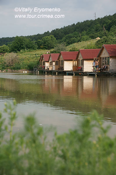 DSC06499