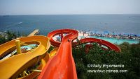 DSC00354