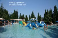 DSC00727