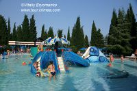DSC00729
