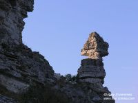 P1011464