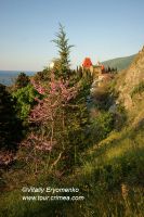 DSC01970