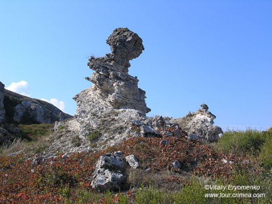 P1011633
