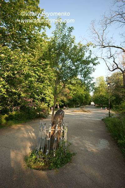 DSC02746
