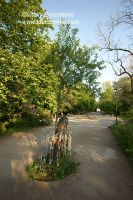 DSC02746