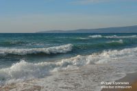DSC09806