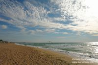DSC09851