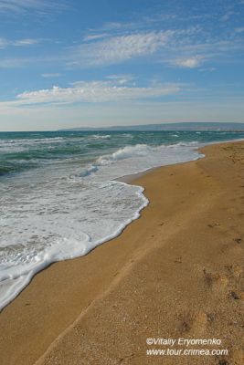 DSC09864