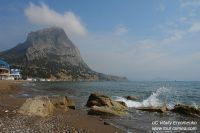 DSC06556