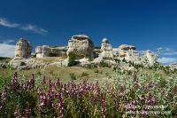 DSC03963