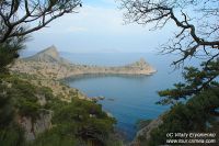 DSC06660