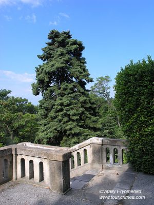 P1011894