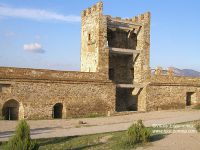 P8281748